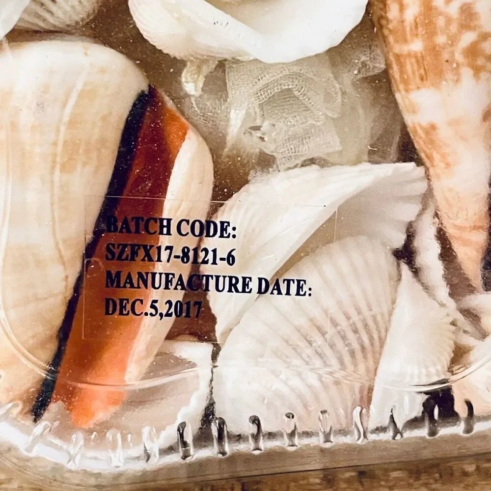 NWT GC Naturals VANILLA COCONUT scented seashells Decorative Glass Aroma Jar